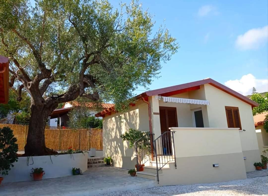 Case Vacanze La Quercia Marina di Camerota Dış mekan fotoğraf