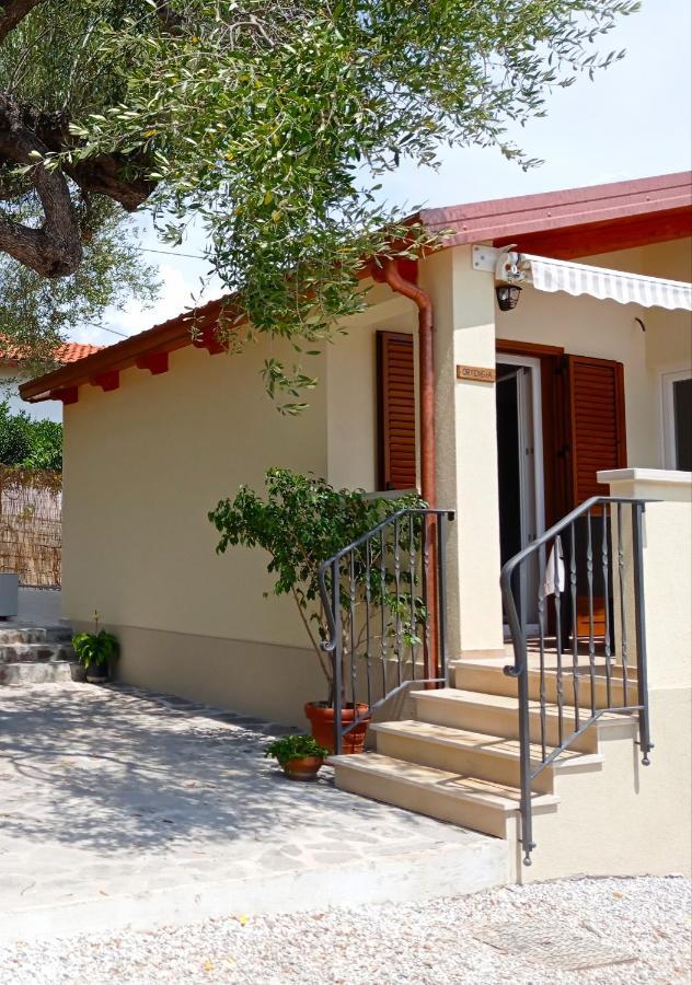 Case Vacanze La Quercia Marina di Camerota Dış mekan fotoğraf