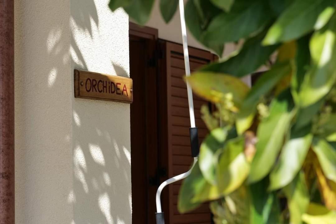Case Vacanze La Quercia Marina di Camerota Dış mekan fotoğraf