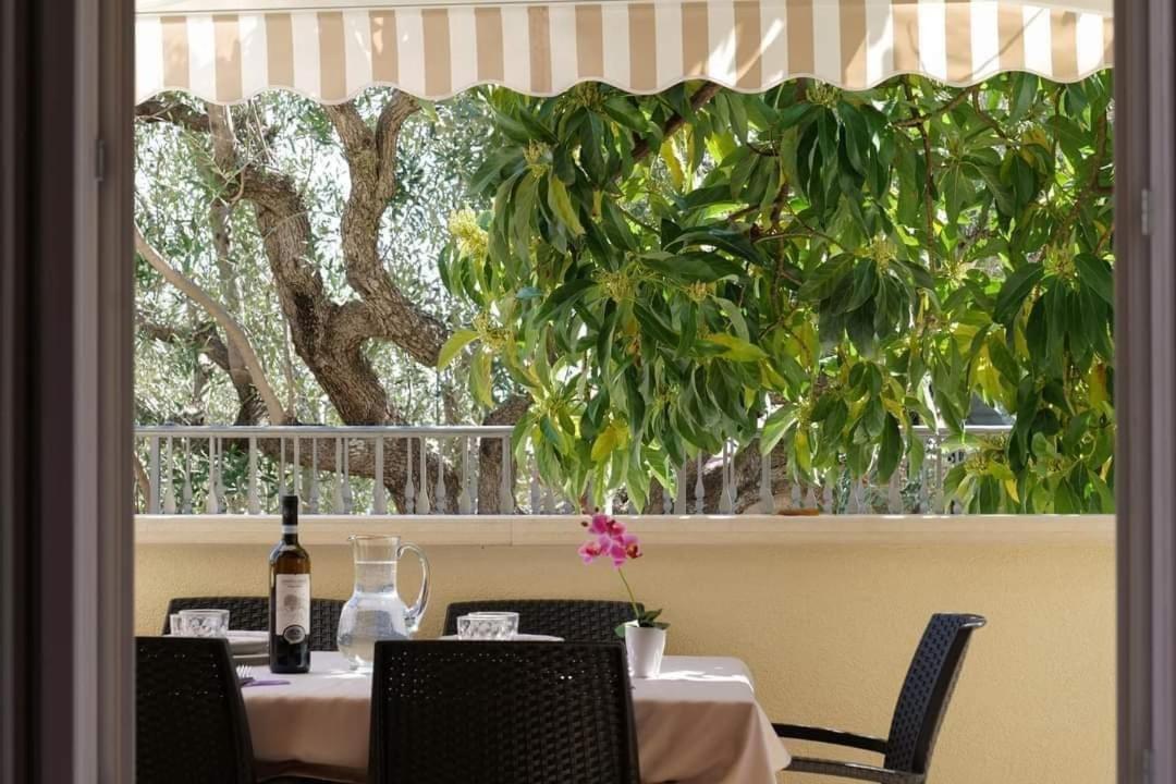 Case Vacanze La Quercia Marina di Camerota Dış mekan fotoğraf